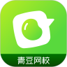 青豆网校app最新版