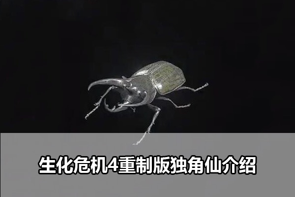 生化危机4重制版独角仙有什么用 生化危机4重制版独角仙介绍